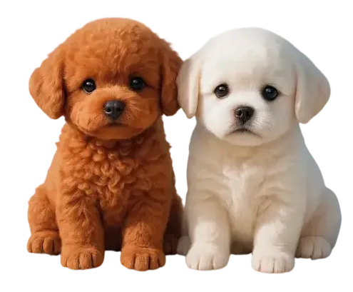 wuffy robot puppy